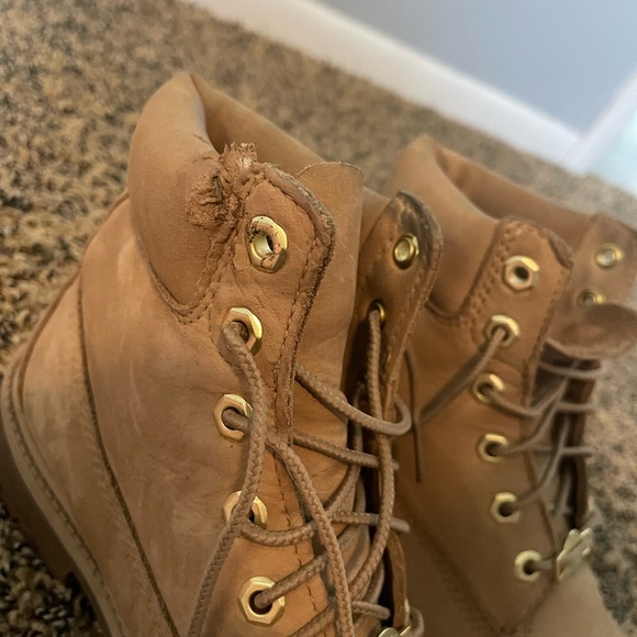Timberlands - Picture 5 of 5